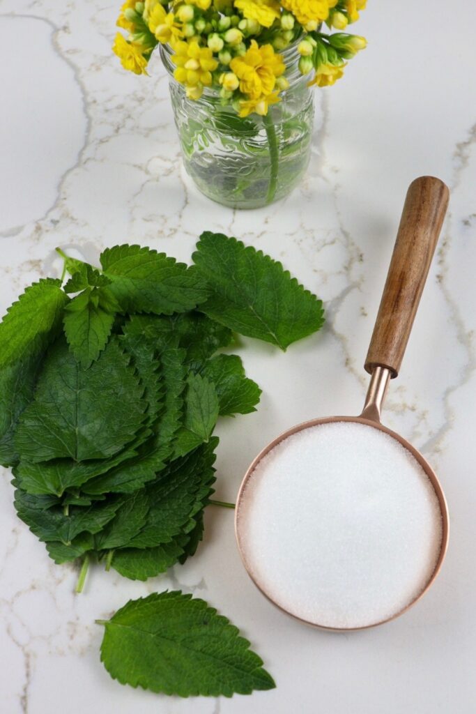 Ingredients for lemon balm simple syrup