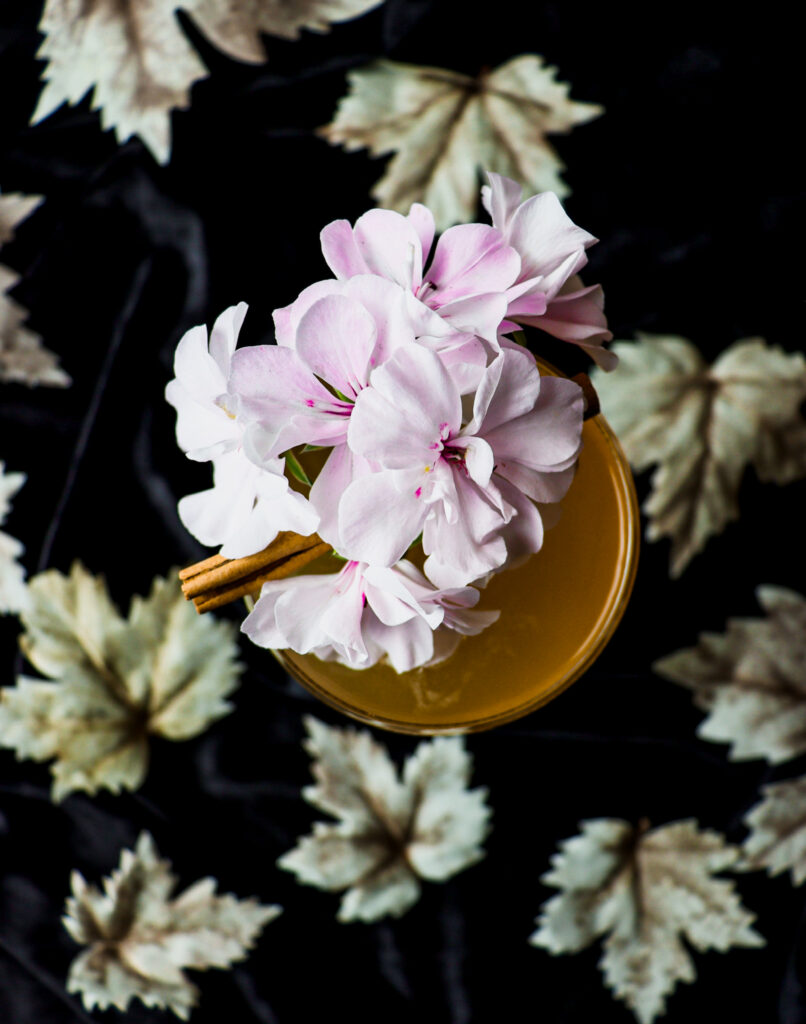 apricot brandy cocktail