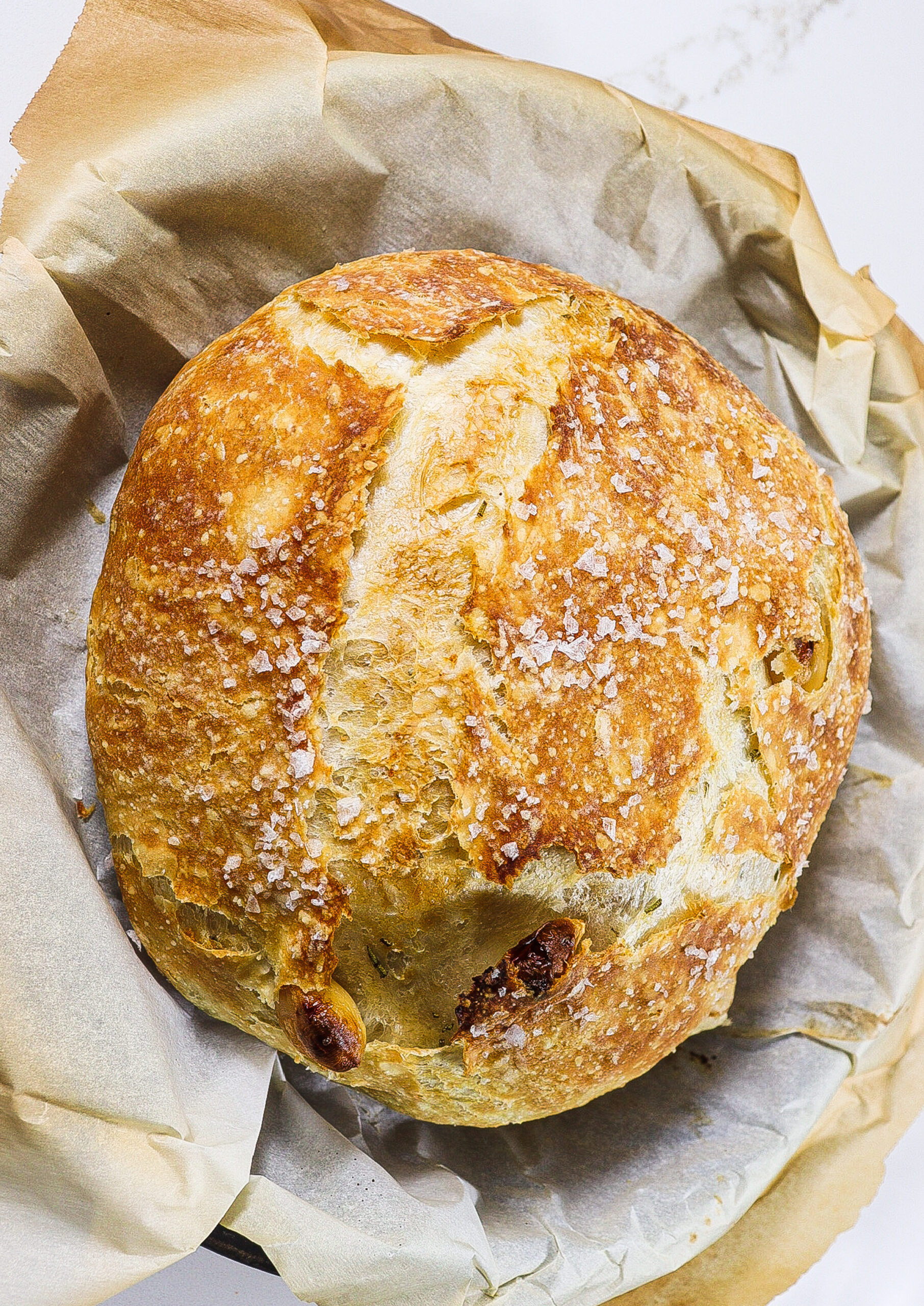 Harry's Whole Grain No Knead Dutch Oven Bread Recipe 